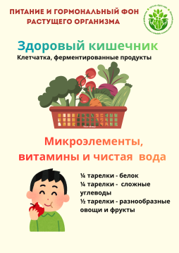 Питание и гормональный фон растущего организма - 2